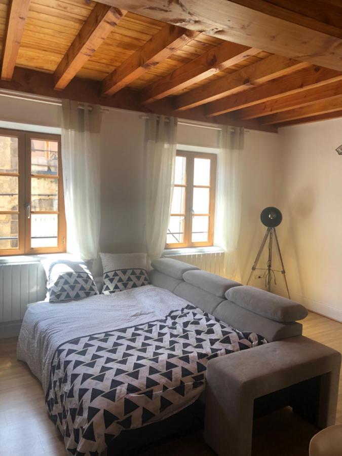 Le Double Pirou # 2 Appartements # Halte Auvergne Тьєр Екстер'єр фото
